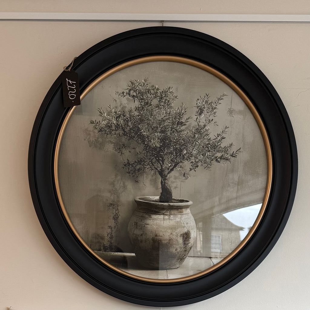 Olive Tree – Circular Framed Print 96cm
